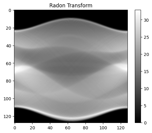 ../_images/notebooks_tutorial_sinogram_handling_11_0.png