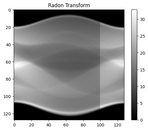 ../_images/notebooks_tutorial_sinogram_handling_9_1.png